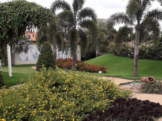 Bloemen Park-Holambra必去景点