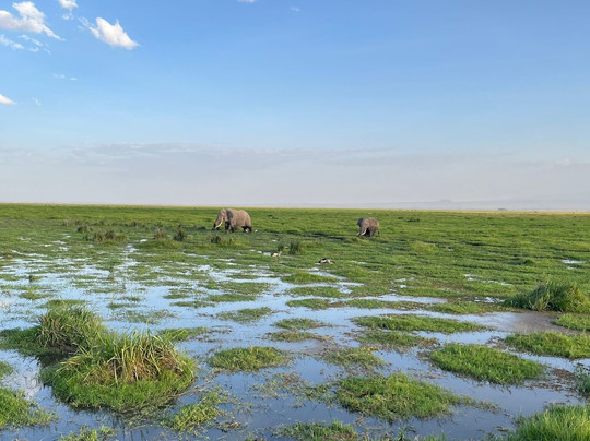 Discovery Kenya con Fragola-瓦塔木必去景点
