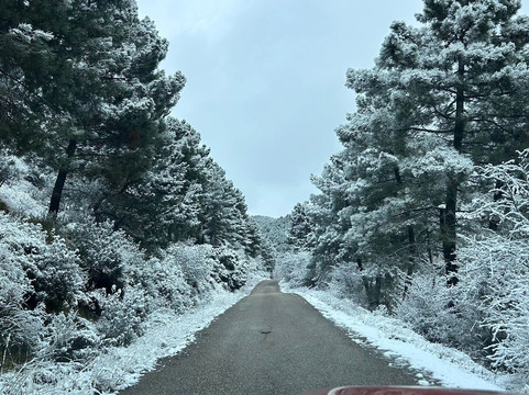 Hotel Palacio Cogolludo主图