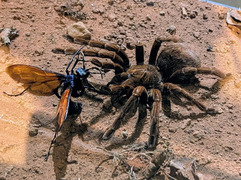 Gasometer Pforzheim-普福尔茨海姆必去景点