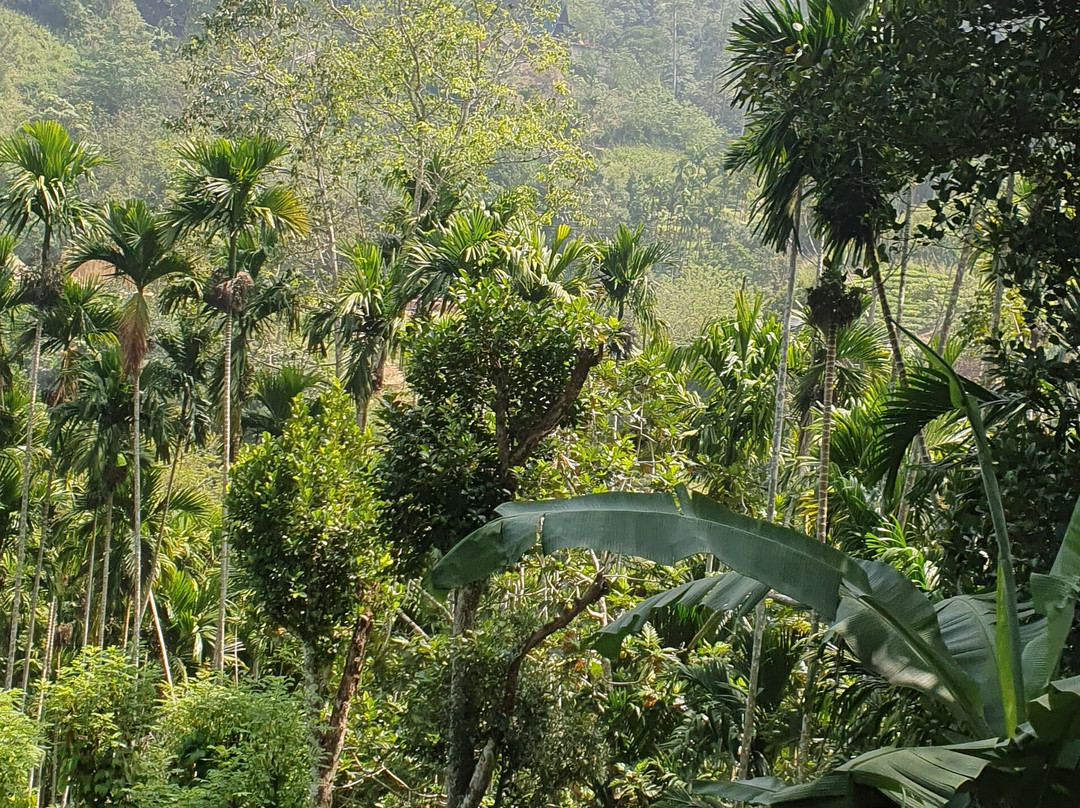 Pk Tours By Kuma-因都鲁瓦必去景点