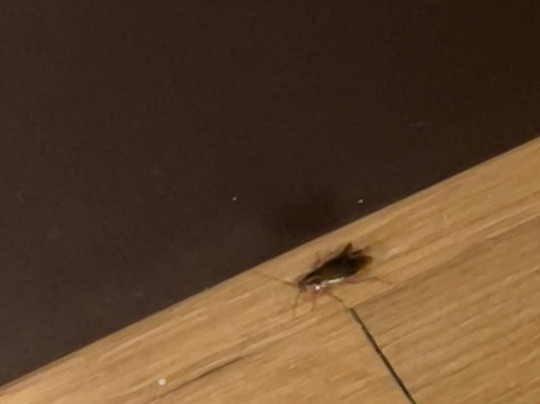 Red Roof Inn Washington DC - Columbia / Fort Meade主图