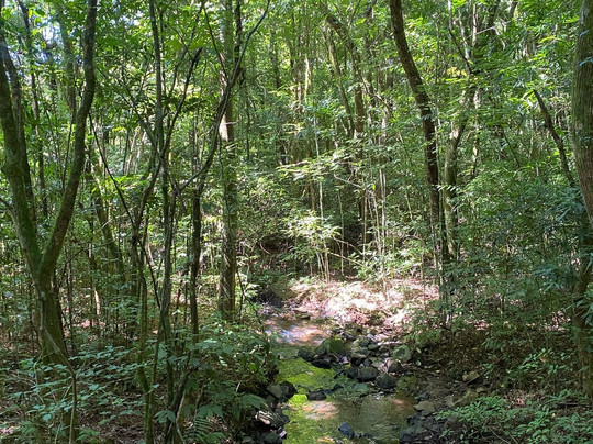 Ecoparque Sperry-卡内拉必去景点