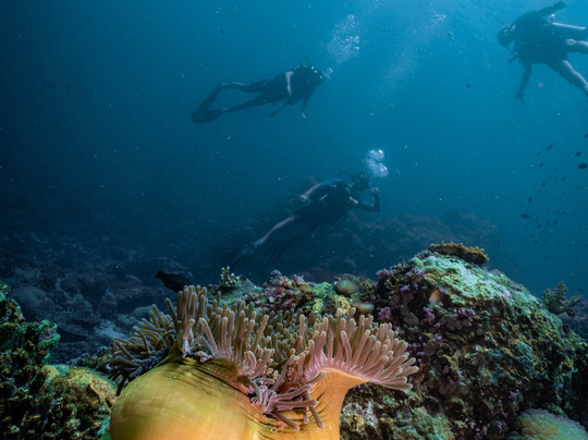 Forra Diving - Day Tour-丽贝岛必去景点