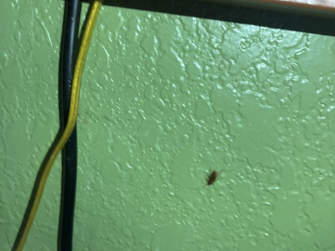 Comfort Inn & Suites Grinnell Near I-80主图