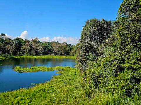 Panama Canal Railway Company-巴拿马城必去景点