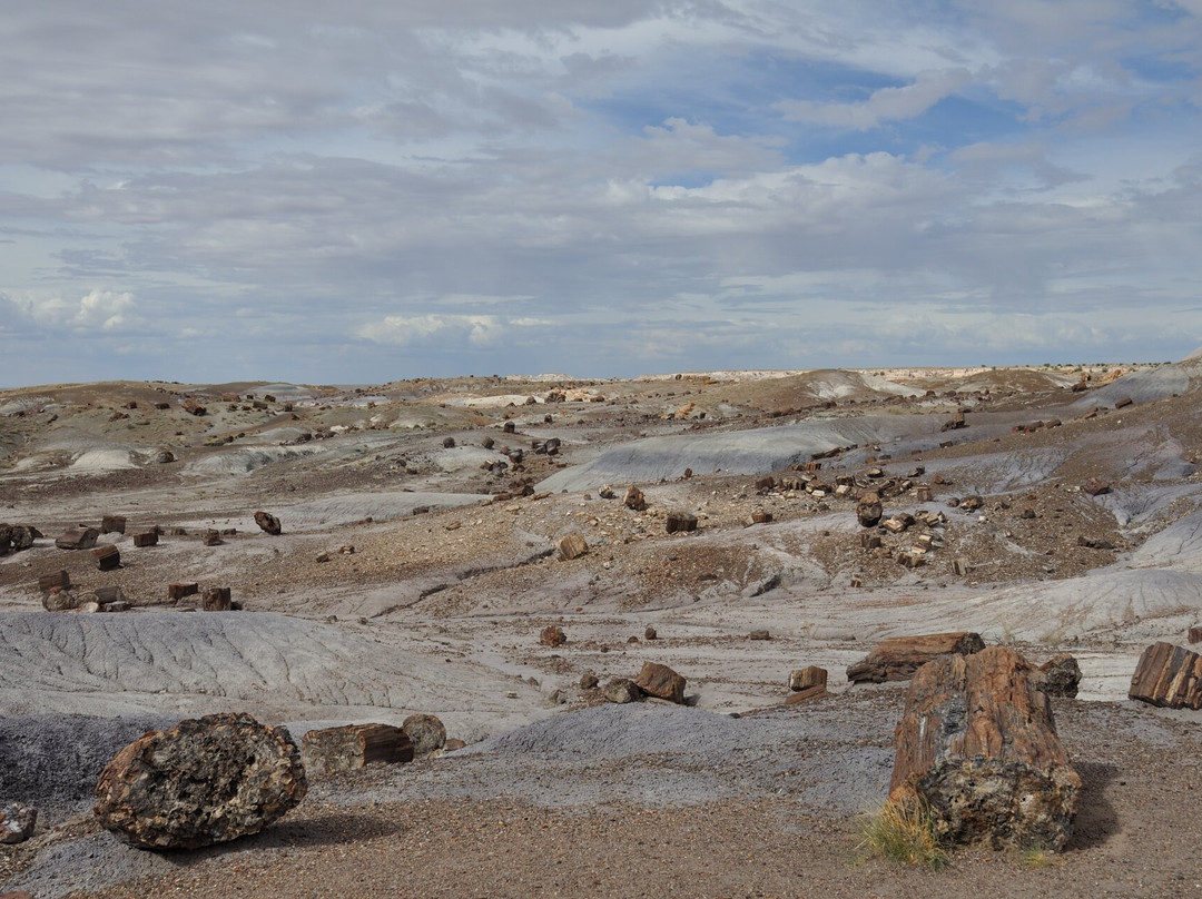 Petrified Forest National Park-霍尔布鲁克必去景点