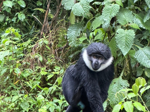 Pinnacle Africa-坎帕拉必去景点