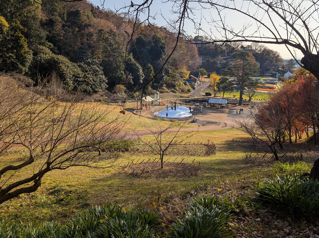 Radiant Flower Hill Park-二宫町必去景点