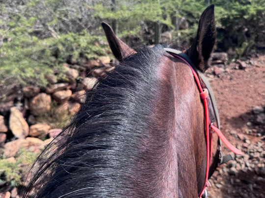 Rancho Loco-Santa Cruz必去景点