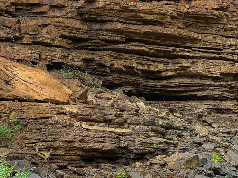 LezGo Tours-布里奇顿必去景点