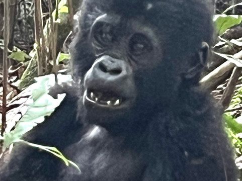 African Rock Safaris Ltd-坎帕拉必去景点