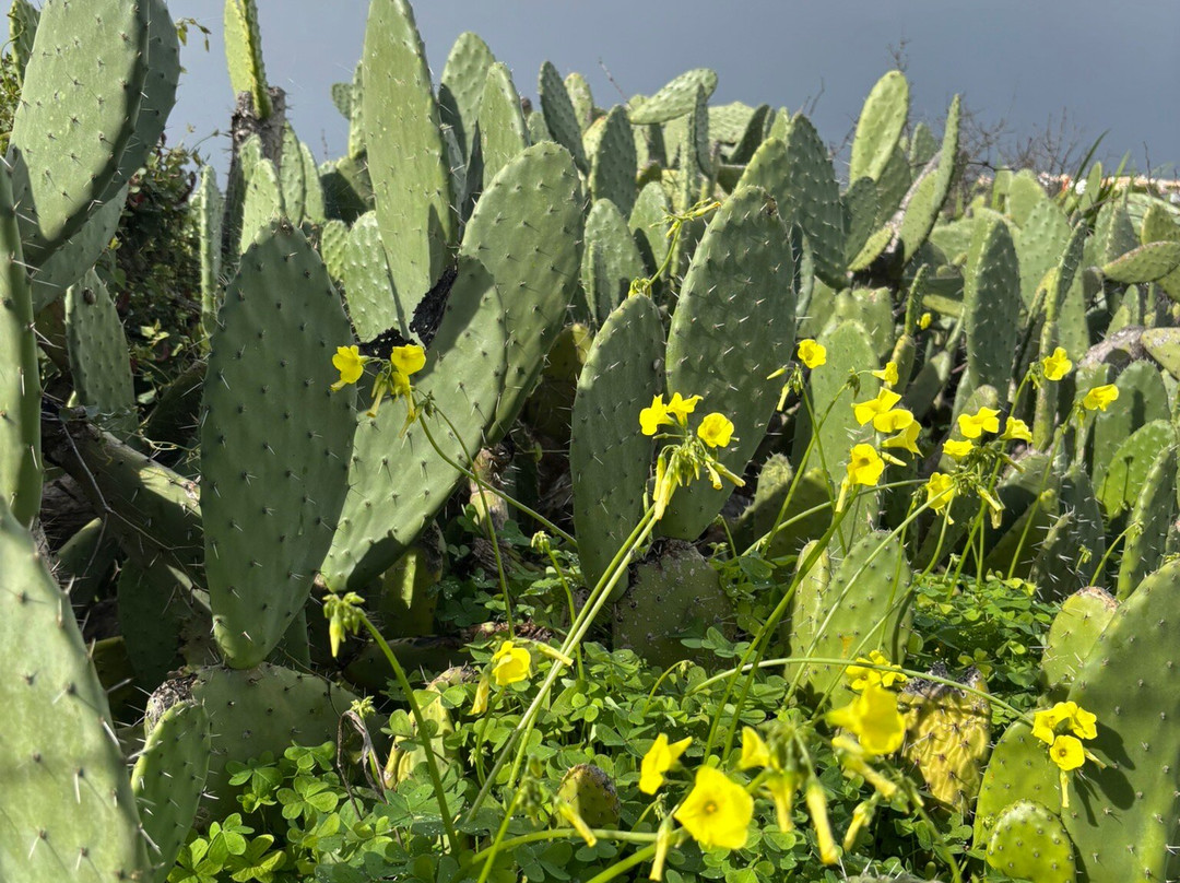 阳光田野旅馆 - 限成人主图