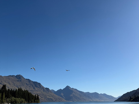 Aroha Luxury New Zealand Tours-Tokoroa必去景点