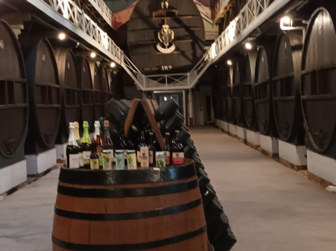 El Gaitero-比拉维西奥萨必去景点