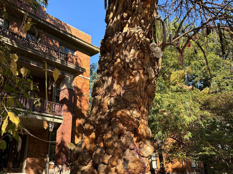 Afterlife Tours-萨凡纳必去景点