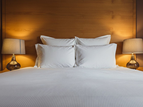 里兹克霍尔酒店主图