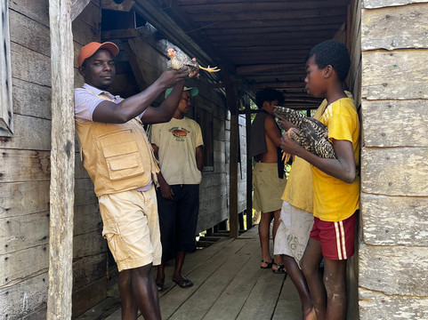 Masoala Nature Guide and Tours Organize-Maroantsetra必去景点