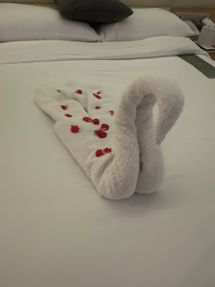 JW万豪昌迪格酒店-官方