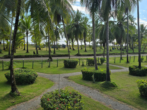 可可马尔海滨酒店主图