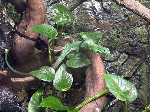 Malta National Aquarium-卡拉必去景点