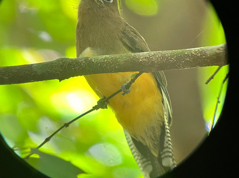 Ficus Tours-希门尼斯港必去景点