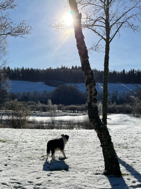 麦克唐纳水疗酒店-官方