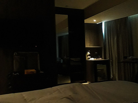 金色郁金香纳塔尔蓬内格拉酒店主图