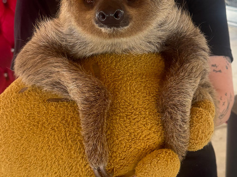 Animal Edventure Park-博因顿海滩必去景点