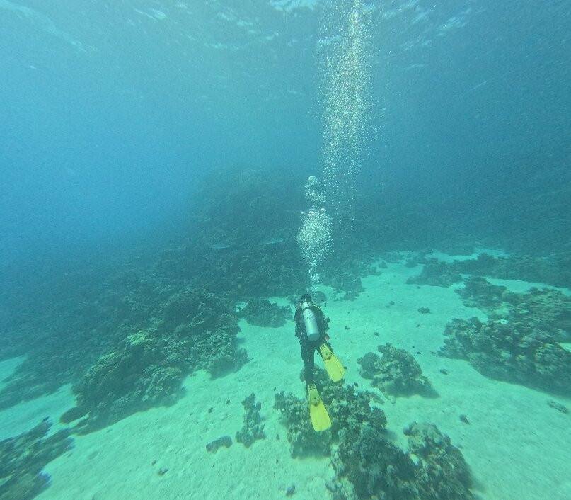 Aquarius Diving Club-马卡迪湾必去景点