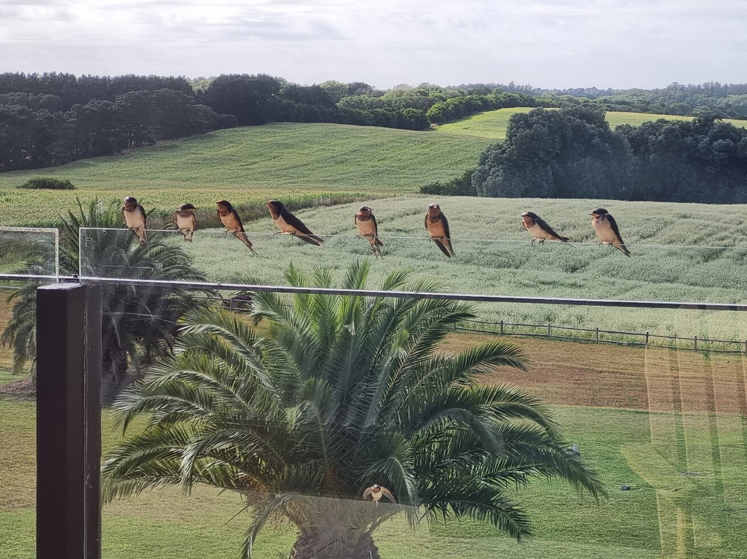 Rocchetta Hotel Boutique主图