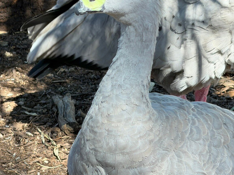 Serendip Sanctuary-Lara必去景点