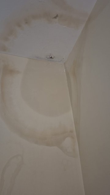 布里尔斯酒店-客卧