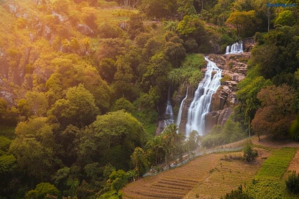 Oasis Ella Guest House