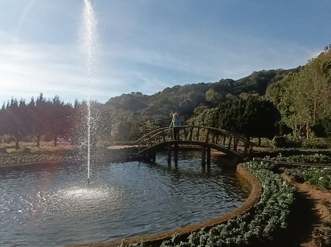 The Tuk Tuk Club-清迈必去景点