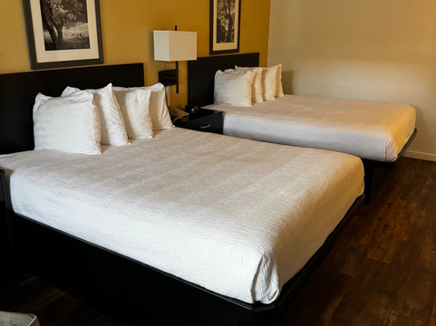 松树套房汽车旅馆主图