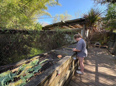 Croc Encounters-坦帕必去景点