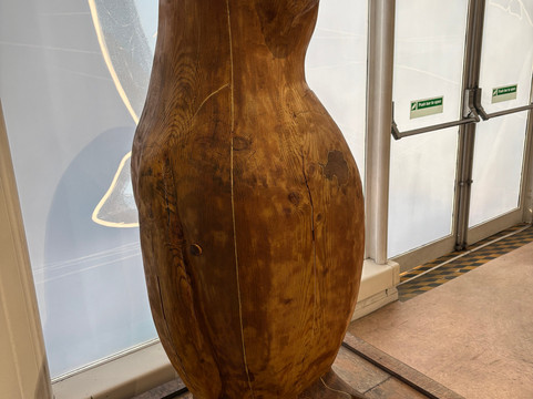 Discovery Point-敦提必去景点