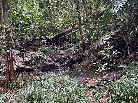 Panbil Nature Reserve-巴淡岛必去景点