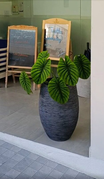 马尔代夫迪弗西天空海滩酒店主图