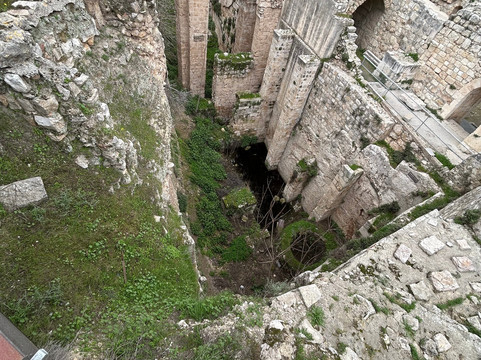 Daniel Rosenblum Tours-特拉维夫必去景点