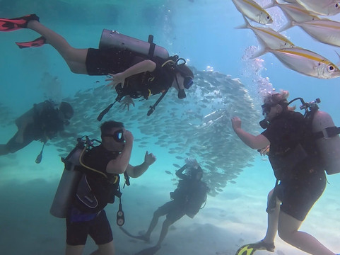夏基潜水中心-卡伦必去景点
