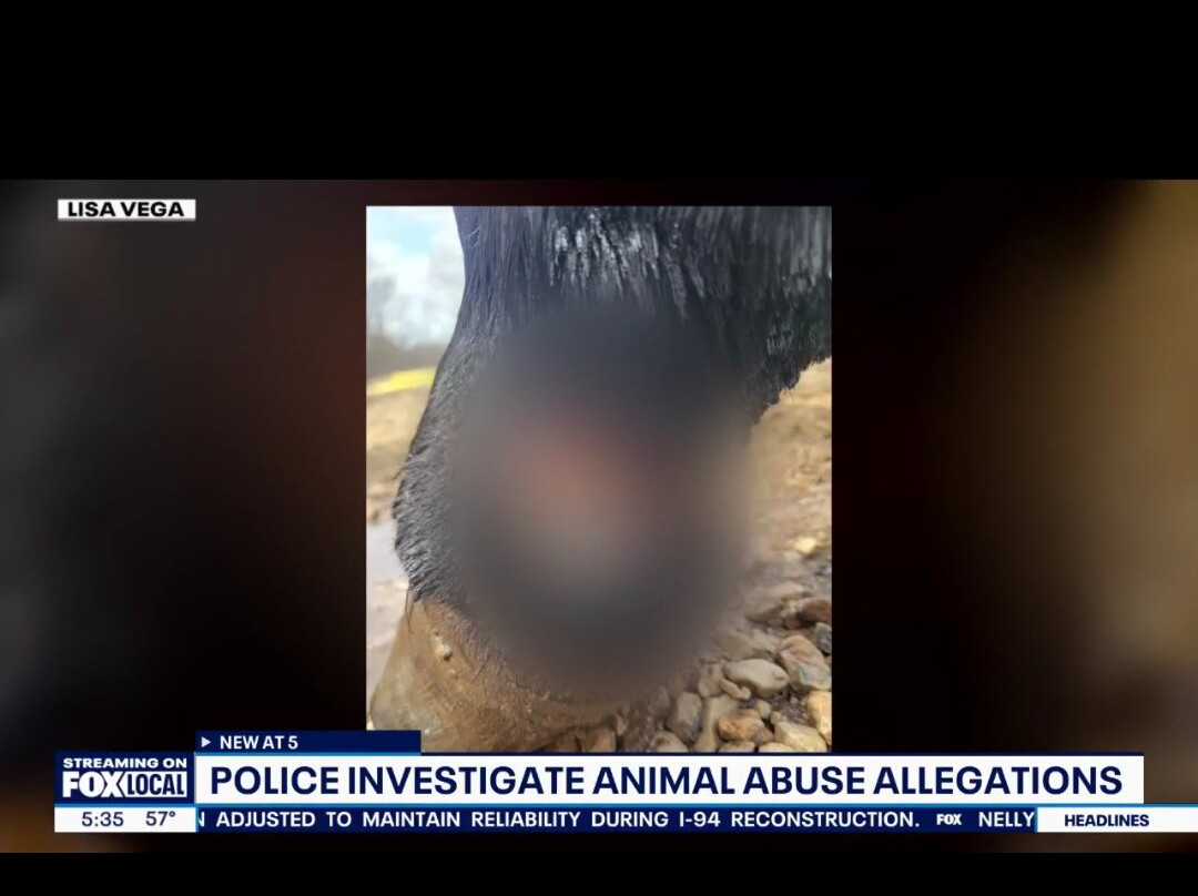 Friesian Herd Experiences-Mukwonago必去景点