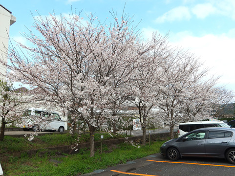 Ibuki Park-仓吉市必去景点