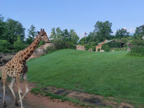 Zoom Torino-Cumiana必去景点