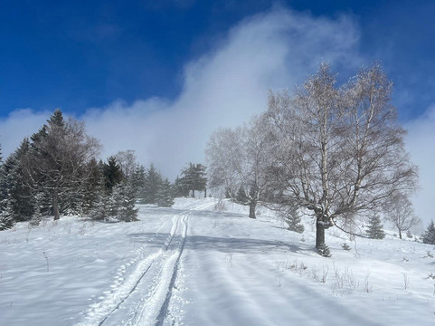 Sibiu Guide Nico-锡比乌必去景点