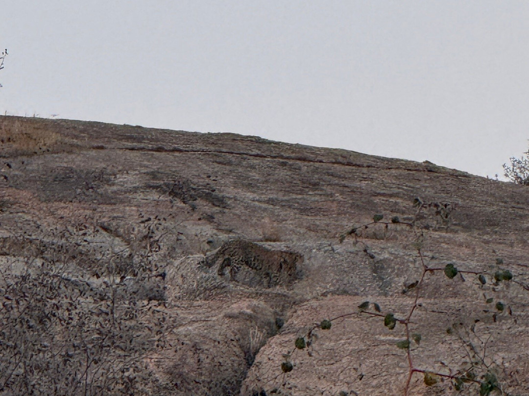 比贾布尔小屋主图