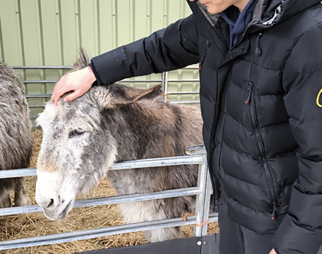 Hall Hill Farm-达勒姆必去景点