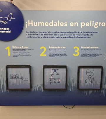 Centro de Humedales Río Cruces-瓦尔迪维亚必去景点
