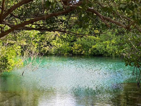 Infinity 2 Diving-图伦必去景点